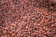 Raisin (Image via Unsplash/Syed f)